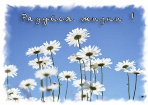 3071440-bd808a89448df540